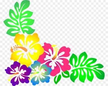Hawaiian Borders and Frames Flower Clip art - moana Hawaiian Borders and Frames Flower Clip art - moana