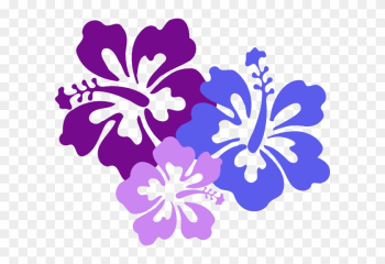 Hawaiian Flower Clip Art Borders Free Clipart Images - Hawaiian Flower Png