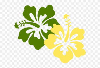 Hawaiian Flowers Transparent Background