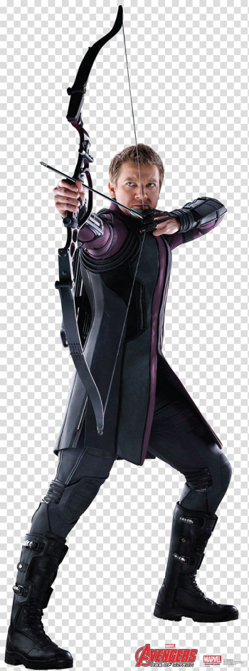 Hawkeye PNG High-Quality Image Hawkeye PNG High-Quality Image