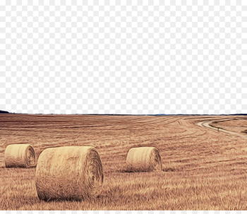 hay field straw farm agriculture hay field straw farm agriculture