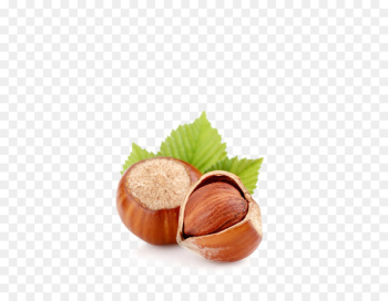Hazelnut Dried Fruit Almond Walnut - hazelnut Hazelnut Dried Fruit Almond Walnut - hazelnut