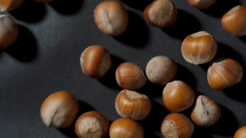 Hazelnuts · Free Stock Video Hazelnuts · Free Stock Video