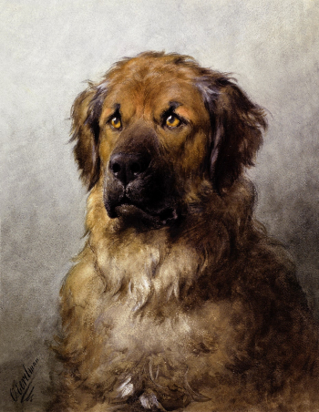 Head of a Leonberger (c.1880&ndash;c.1892) drawing in high resolution by Otto Eerelman. Original from The Rijksmuseum. Digitally enhanced by rawpixel.