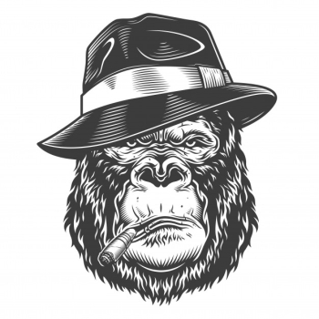Head of gorilla Free Vector Head of gorilla Free Vector