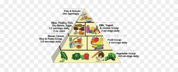 Healthy High Calorie Food Healthy High Calorie Food