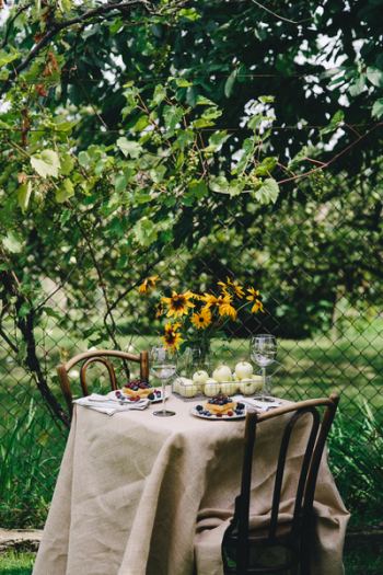 Healthy lunch in the garden Healthy lunch in the garden