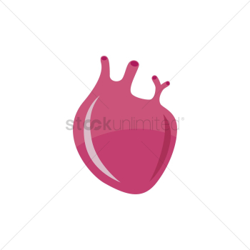 Heart Heart
