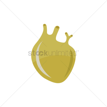 Heart Heart