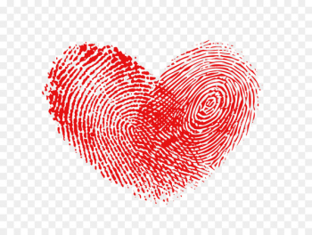 Heart Fingerprint Raster graphics - Fingerprint heart Heart Fingerprint Raster graphics - Fingerprint heart