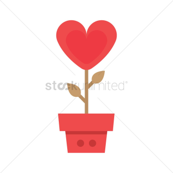 Heart flower in pot Heart flower in pot
