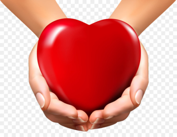 Heart Hand Clip art - human heart 