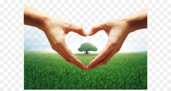 Heart Hand Gesture - Heart-shaped gesture Heart Hand Gesture - Heart-shaped gesture
