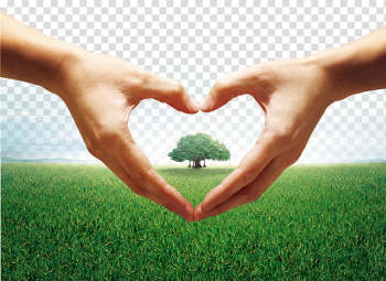 Heart Hand Gesture, Heart-shaped gesture transparent background PNG clipart Heart Hand Gesture, Heart-shaped gesture transparent background PNG clipart