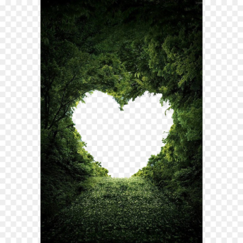 Heart Nature Valentine's Day Love Wallpaper - Love Heart Nature Valentine's Day Love Wallpaper - Love