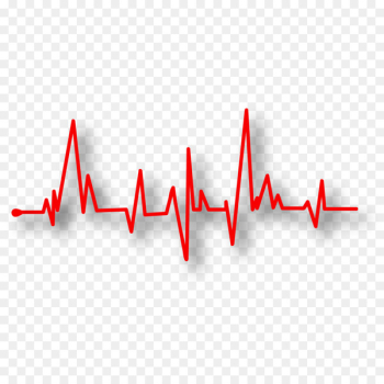 Heart rate Pulse Electrocardiography Artery Medicine - ecg 