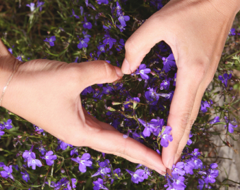 Heart Shape With Hand