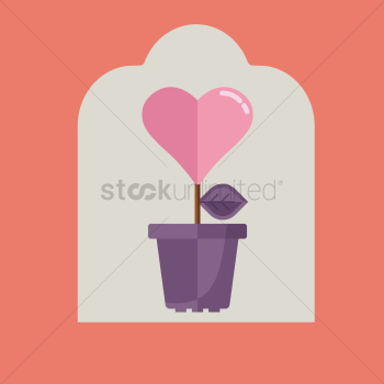 Heart shaped plant Heart shaped plant