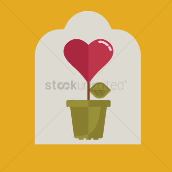 Heart shaped plant Heart shaped plant