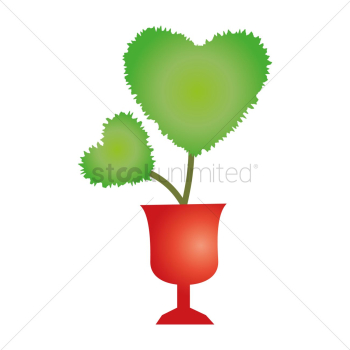 Heart shaped plant Heart shaped plant