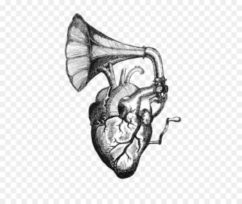 Heart sounds Drawing Tattoo Anatomy - Heart Speaker Heart sounds Drawing Tattoo Anatomy - Heart Speaker