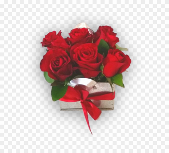 Heart To Heart - Garden Roses