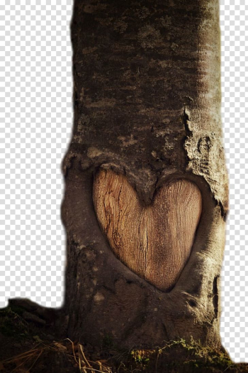 Heart Tree Trunk Leaf, heart transparent background PNG clipart Heart Tree Trunk Leaf, heart transparent background PNG clipart