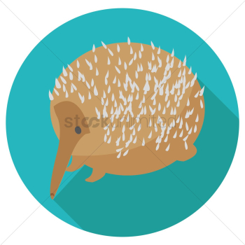 Hedgehog Hedgehog