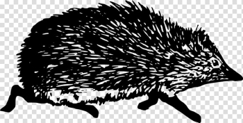 Hedgehog , black and white hedgehog transparent background PNG clipart Hedgehog , black and white hedgehog transparent background PNG clipart