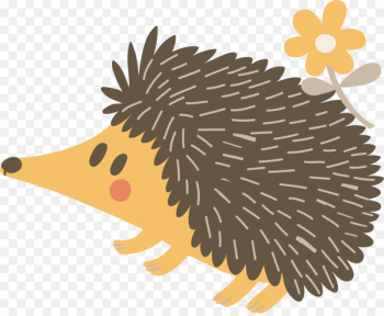 Hedgehog Porcupine Echidna Illustration - Vector Cute hedgehog 