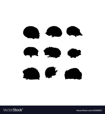 hedgehog set creative design hedgehog set creative design