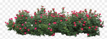 Hedges Clipart Flower Bush - Flower Bush Png