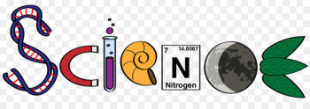 Hedworth Lane Primary School Science National Primary School Education - science 