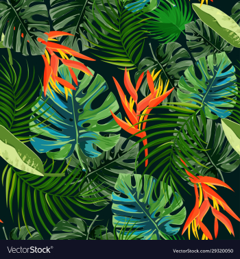 heliconia and strelizia flowers