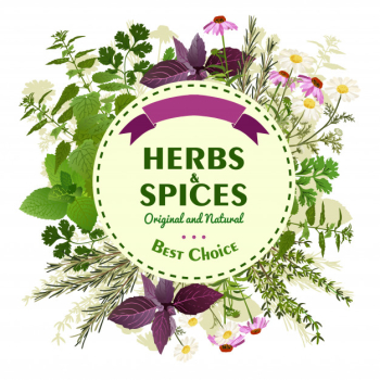Herbal background with meadow flowers Herbal background with meadow flowers