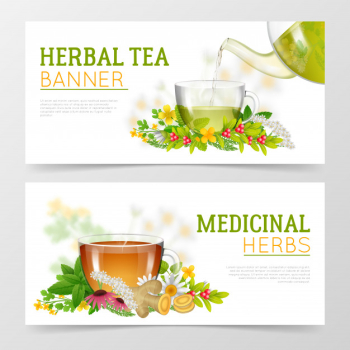 Herbal tea and medicinal herbs banners Herbal tea and medicinal herbs banners