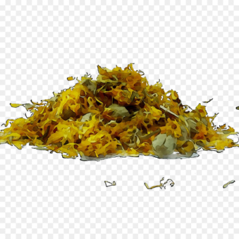 Herbal tea Herbalism Medicine - Herbal tea Herbalism Medicine -