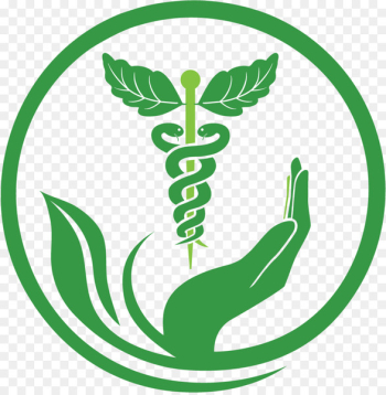 Herbalism Medicine Alternative Health Services Naturopathy - pharmacy 