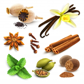 Herbs and spices set Free Vector Herbs and spices set Free Vector