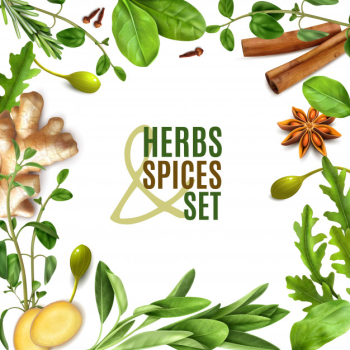Herbs spices realistic square frame with fresh rosemary thyme rocket spinach leaves cinnamon ginger anise Free Vector