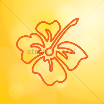 Hibiscus Hibiscus