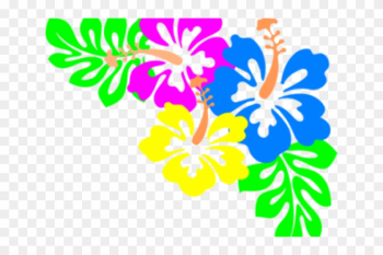 Hibiscus Clipart Rainbow - Hawaiian Flowers Border Png Hibiscus Clipart Rainbow - Hawaiian Flowers Border Png