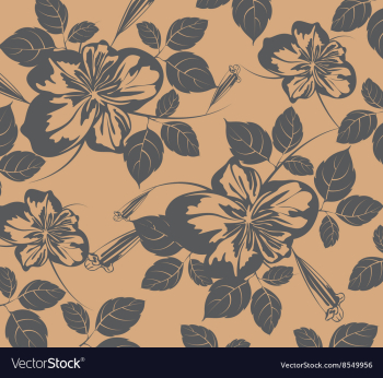 Hibiscus flowers vector image Hibiscus flowers vector image