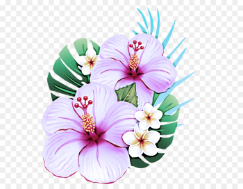 hibiscus hawaiian hibiscus flower pink petal hibiscus hawaiian hibiscus flower pink petal