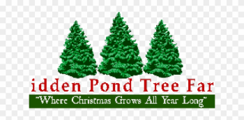 Hidden Pond Tree Farm - Pine Tree Hidden Pond Tree Farm - Pine Tree
