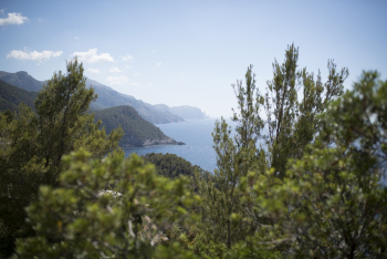 High Angle Photography of Mountain