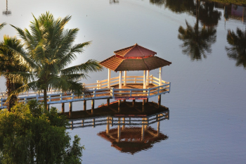 High Angle Shot Of Dock
