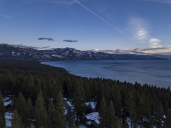 High Angle Shot of Trees