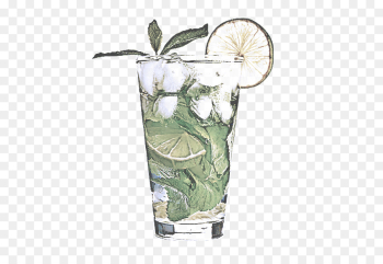 highball glass cocktail garnish drink plant non-alcoholic beverage