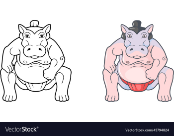 hippo sumo wrestler hippo sumo wrestler